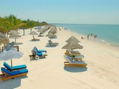 Beach Chairs in the Bimini Bahamas